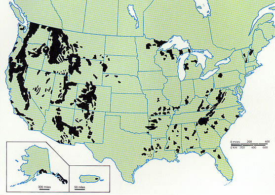 U.S Blank Forest Map