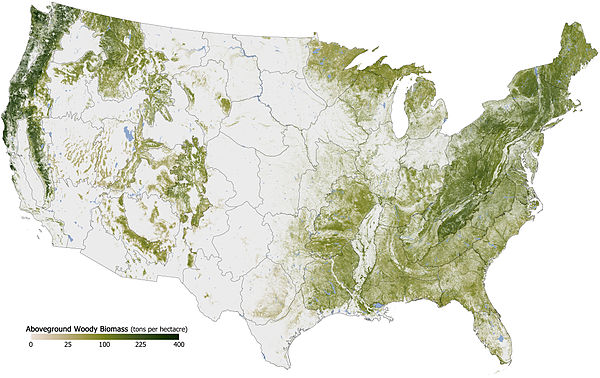 U.S Forest Map