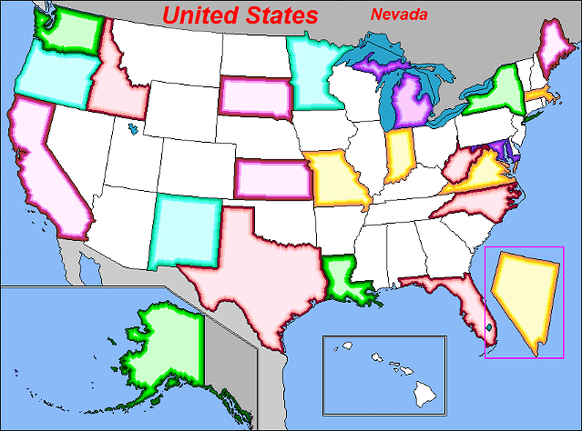 U.S Puzzle White Map