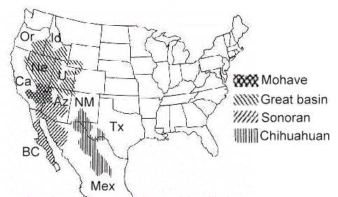 U.S Desert Map Black & White