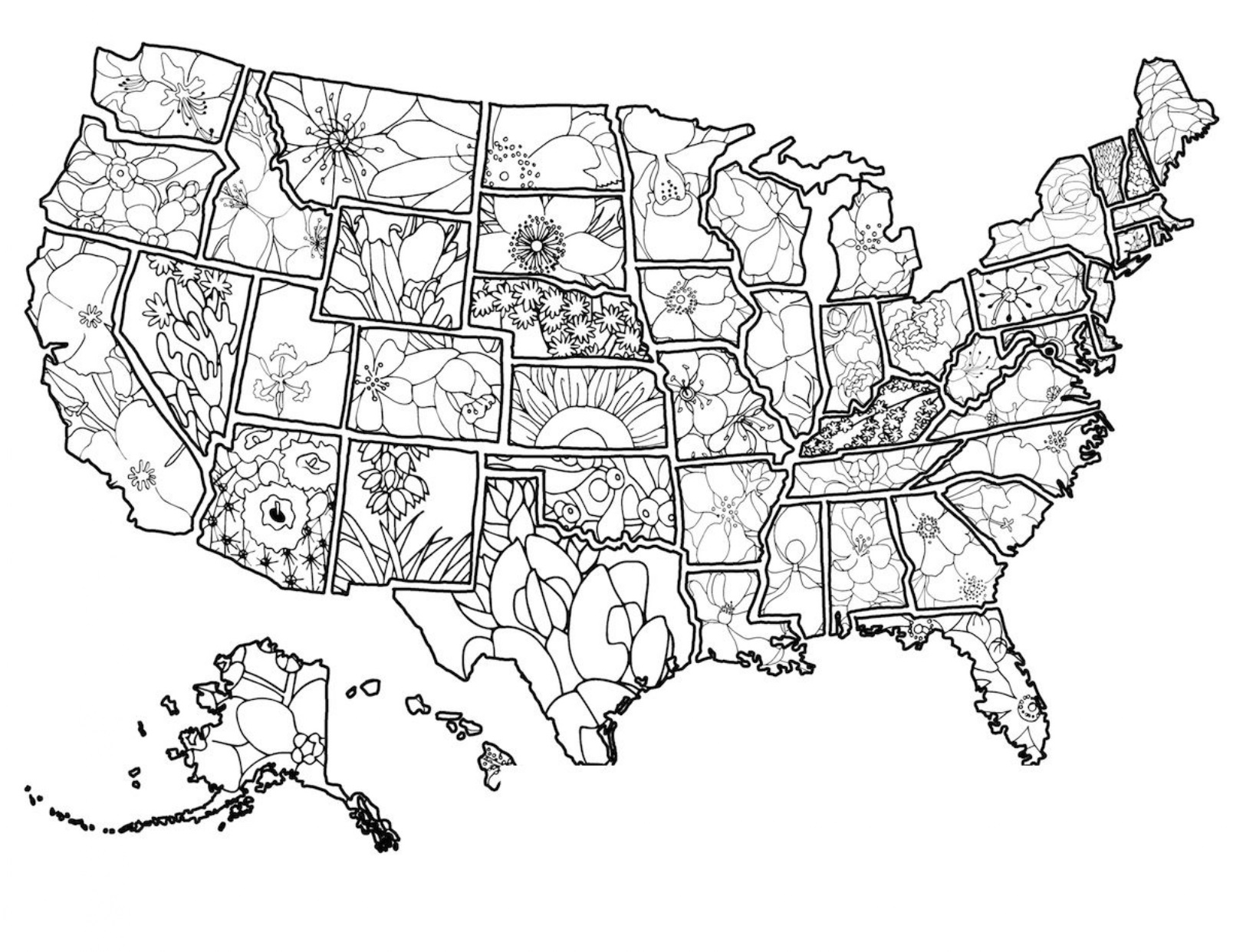 U.S Coloring Flower Map