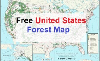 Free United States Forest Map